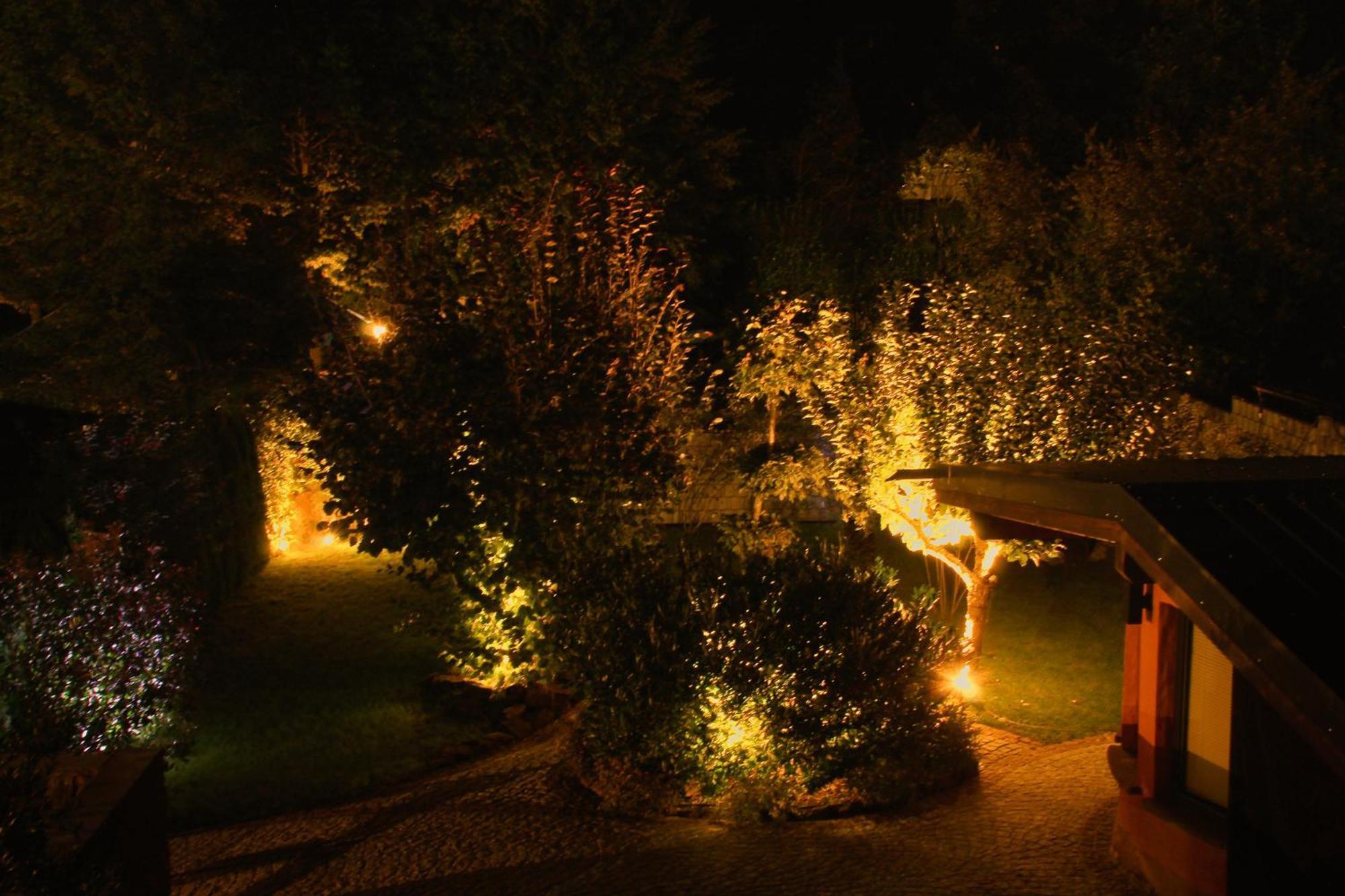 Ferienwohnung Altschloss Eppenbrunn Dış mekan fotoğraf