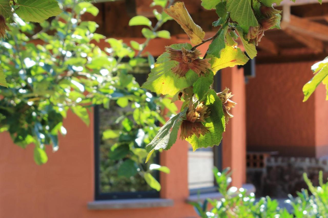 Ferienwohnung Altschloss Eppenbrunn Dış mekan fotoğraf